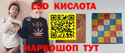 PSILOCYBIN Заводоуковск
