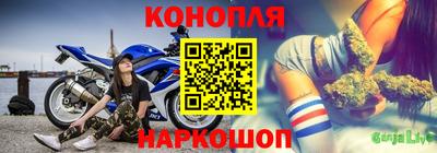PSILOCYBIN Заводоуковск