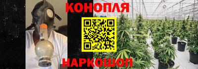 стафф Заволжье