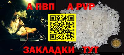 PSILOCYBIN Заводоуковск