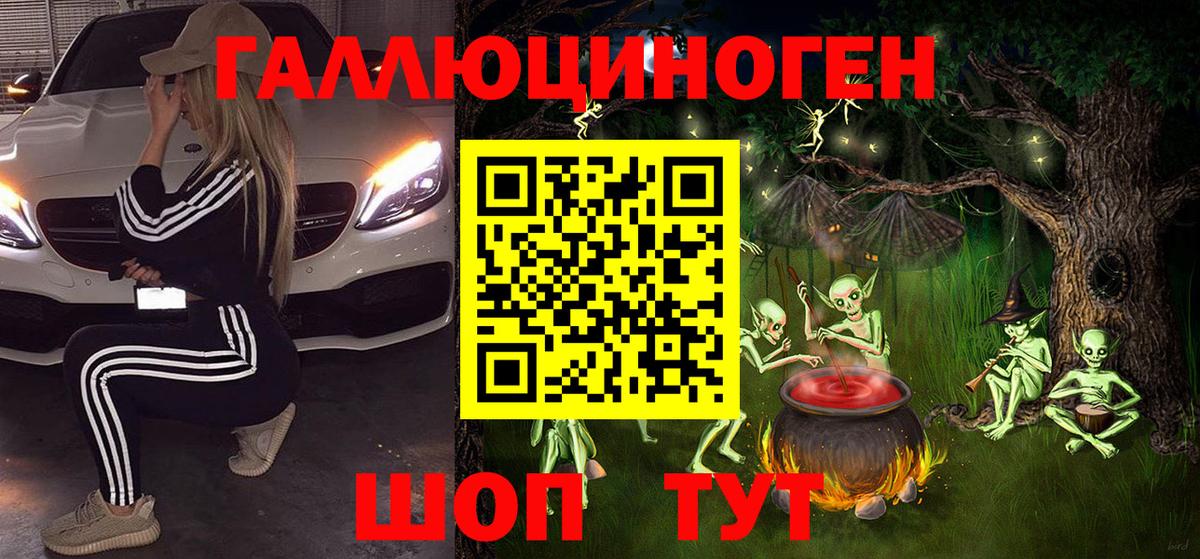 где купить   Вход с VPN  Галлюциногенные грибы Psilocybine cubensis  Новозыбков  Псилоцибиновые грибы Psilocybine cubensis 